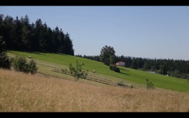 Sebastian Jehl – visuelle Kommunikation